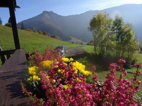 Outdoor Pictures 19