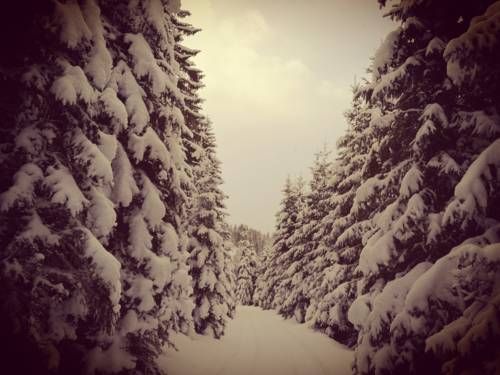 Outdoor Pictures 15