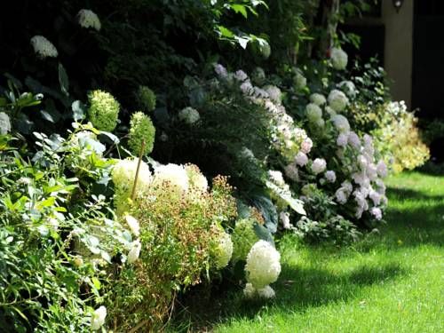 Outdoor Pictures 14
