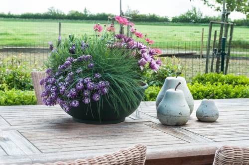 Outdoor Pictures 20