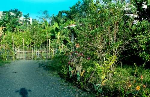 Outdoor Pictures 22