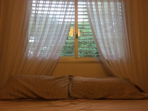 Outdoor Pictures 10