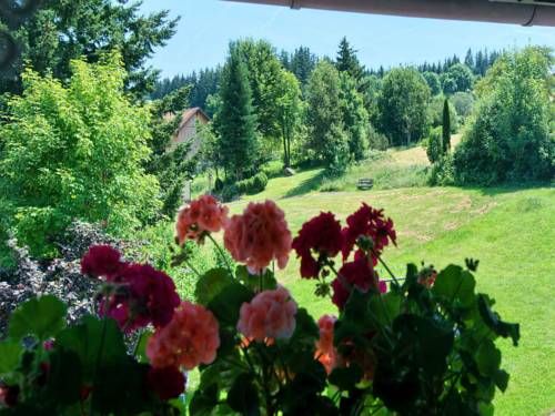 Outdoor Pictures 11