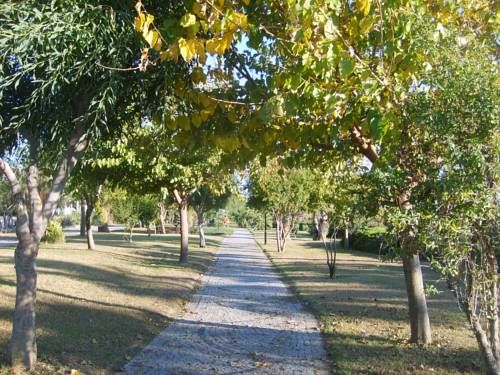 Outdoor Pictures 9