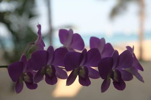 Outdoor Pictures 17