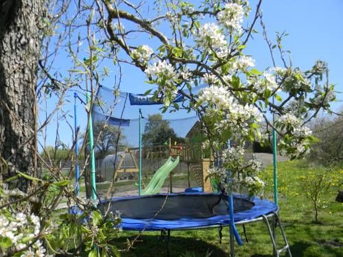 Outdoor Pictures 13