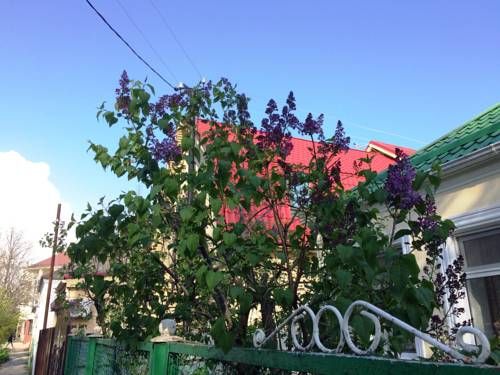 Outdoor Pictures 24