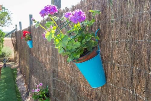 Outdoor Pictures 15