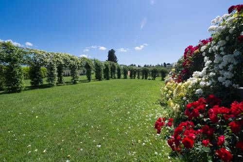 Outdoor Pictures 21