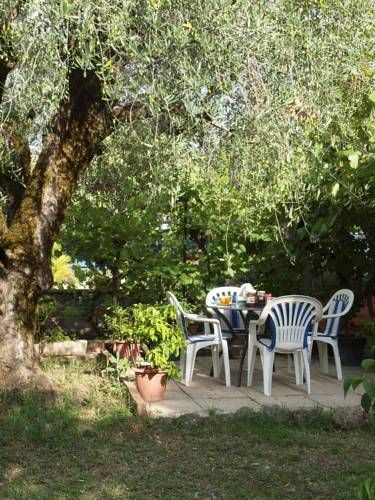 Outdoor Pictures 12