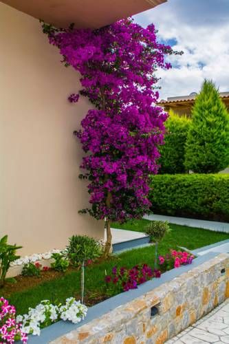 Outdoor Pictures 15