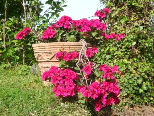 Outdoor Pictures 12