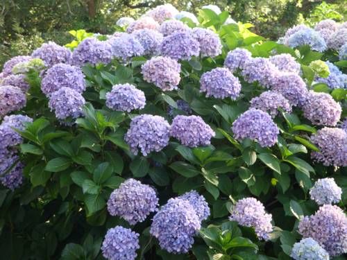 Outdoor Pictures 11