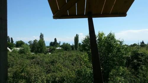 Outdoor Pictures 9