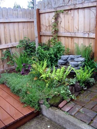 Outdoor Pictures 21