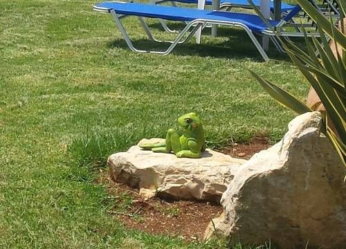 Outdoor Pictures 15