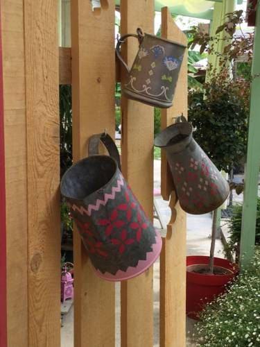 Outdoor Pictures 8