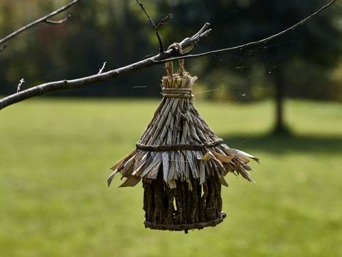 Outdoor Pictures 21