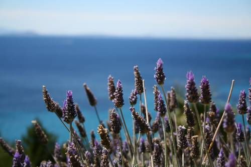 Outdoor Pictures 20
