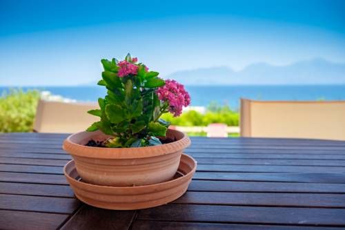 Outdoor Pictures 20