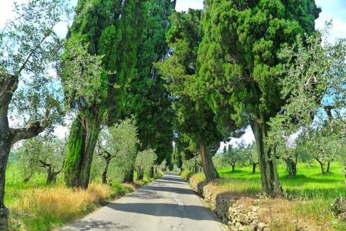 Outdoor Pictures 21