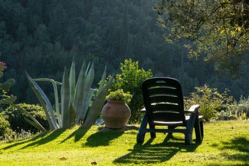 Outdoor Pictures 18
