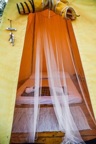 Outdoor Pictures 5
