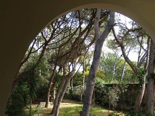 Outdoor Pictures 15