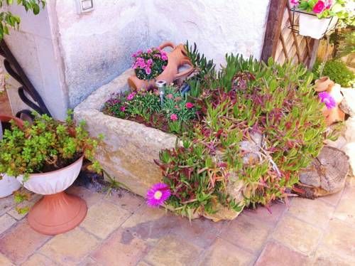Outdoor Pictures 17