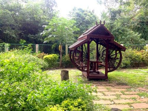 Outdoor Pictures 24