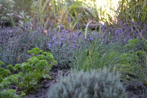 Outdoor Pictures 15
