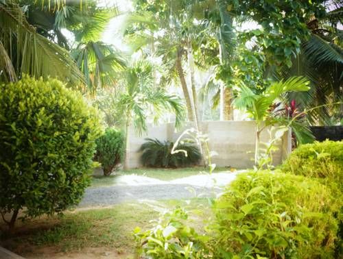 Outdoor Pictures 21