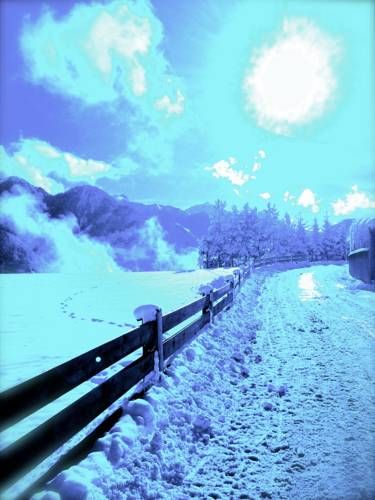Outdoor Pictures 24