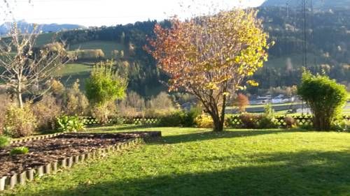 Outdoor Pictures 12