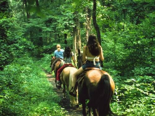 Outdoor Pictures 17