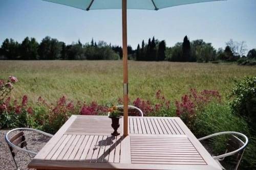 Outdoor Pictures 10