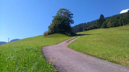 Outdoor Pictures 15