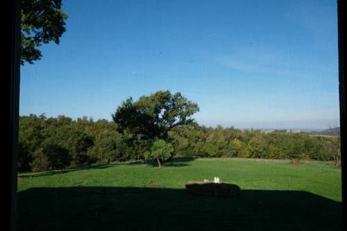 Outdoor Pictures 13