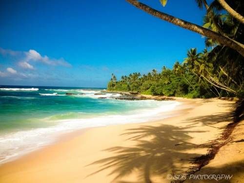 Outdoor Pictures 20