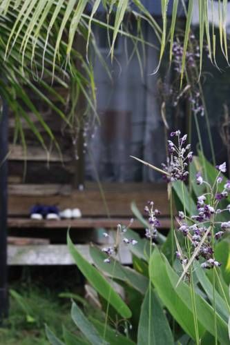 Outdoor Pictures 14