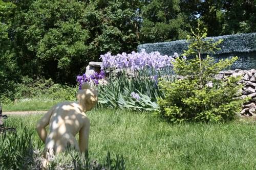 Outdoor Pictures 7