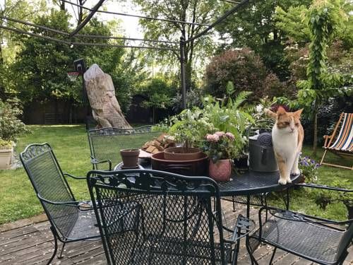 Outdoor Pictures 10
