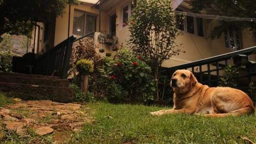 Outdoor Pictures 24