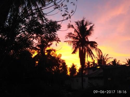 Outdoor Pictures 21
