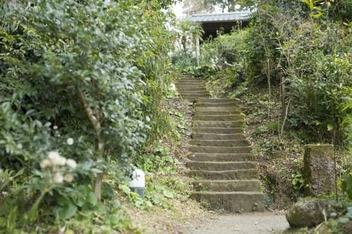 Outdoor Pictures 8