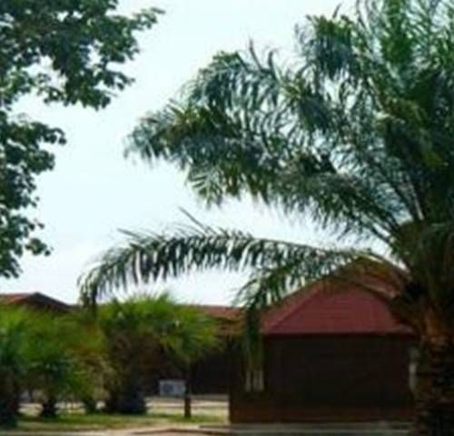Outdoor Pictures 5