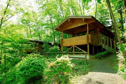 Outdoor Pictures 11