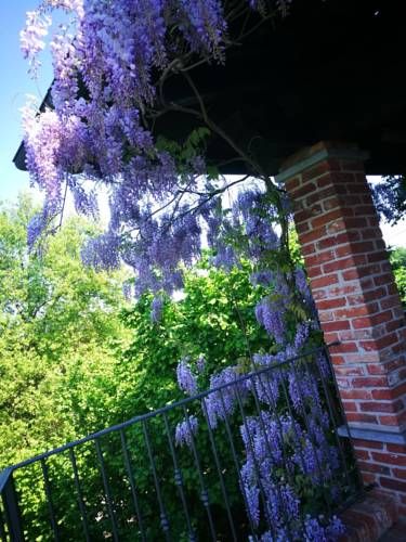Outdoor Pictures 20