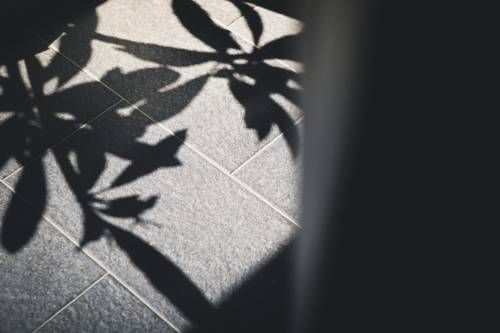 Outdoor Pictures 24