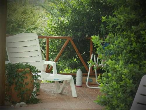 Outdoor Pictures 14